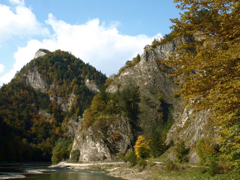 Sokolica
