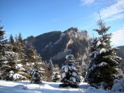 Pieniny