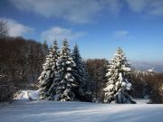 Pieniny