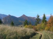 Pieniny