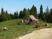 Pieniny